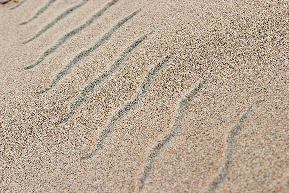 Sidewinder Tracks, Death Valley National Park, CA
