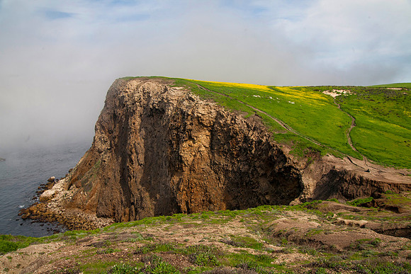 Cavern Point, Santa Cruz Island, Channel Islands National Park, CA