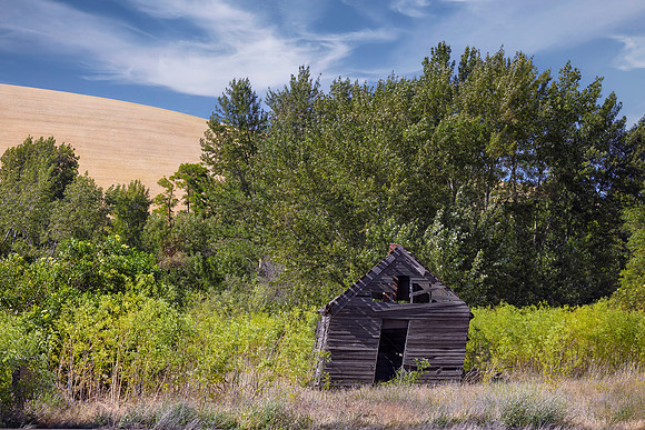 Leaning Shack, Walla Walla, WA