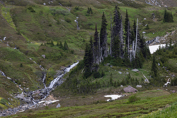 Five Waterfalls, Mt. Rainier National Park, WA
