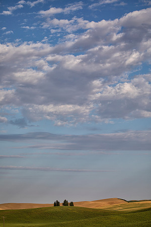 Morning Clouds Over the Land, Asotin, WA