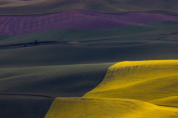 Steptoe Patterns, Whitman County, WA