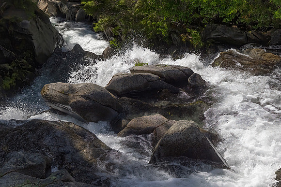 Mt. Rainier National Park, WA