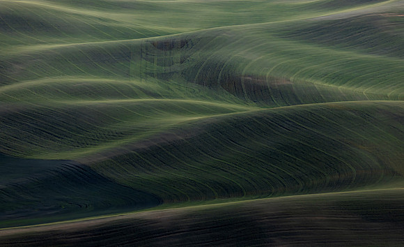 Steptoe Butte 1, WA