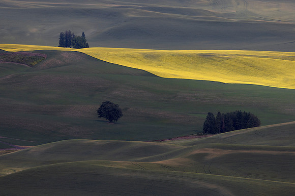 Steptoe Butte 8, WA