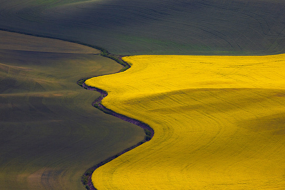 Steptoe Butte 9, WA
