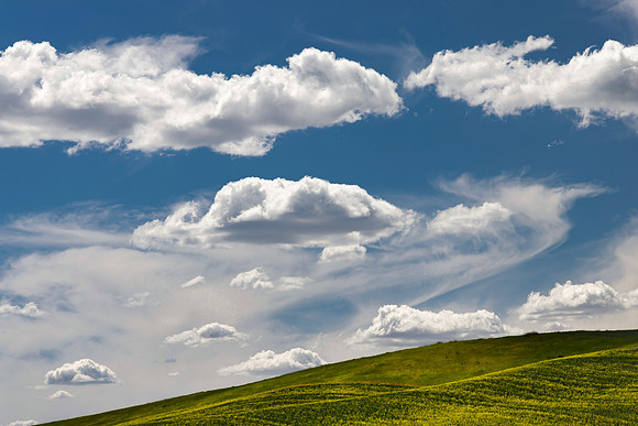 Palouse Skies, Near Steptoe, WA