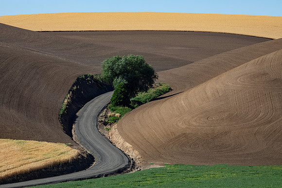 On the Road to Almota, WA