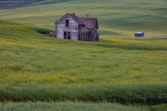 Abandoned Weber House, Pullman, WA