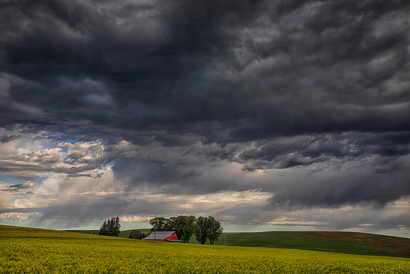 Stormy Morning on the Palouse, ID