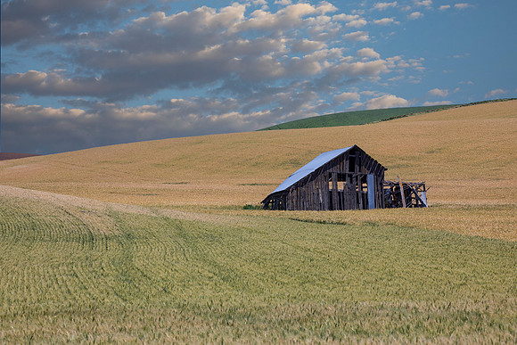Palouse Barn, WA