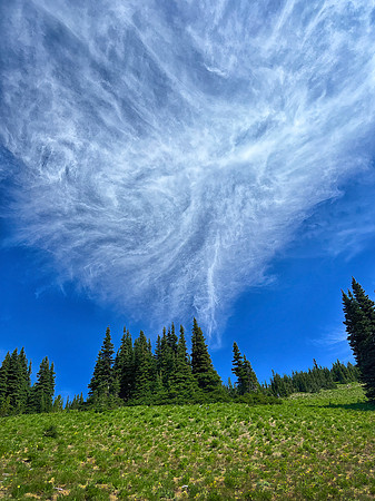Mt. Rainier National Park, WA