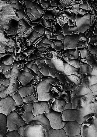 Cracked Mud, Badlands National Park, SD