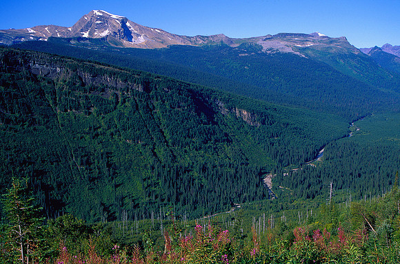 Heaven's Rest, Glacier National Park, MT