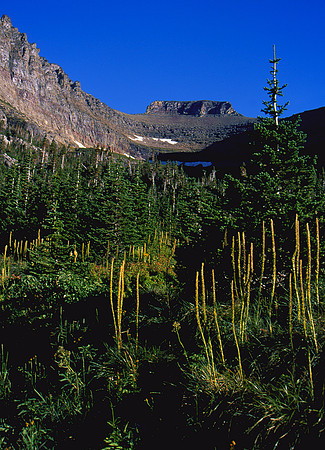 Pollock Mountain, Glacier National Park, MT
