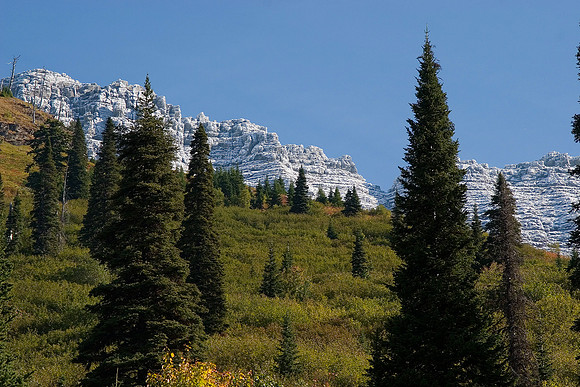 Logan's Pass, Glacier National Park, MT
