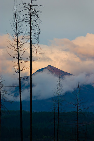 Huckleberry Mountain, Glacier National Park, MT