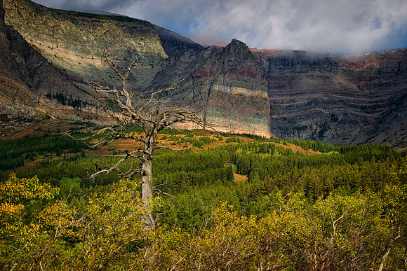 Guarding the Mountains, Glacier National Park, MT