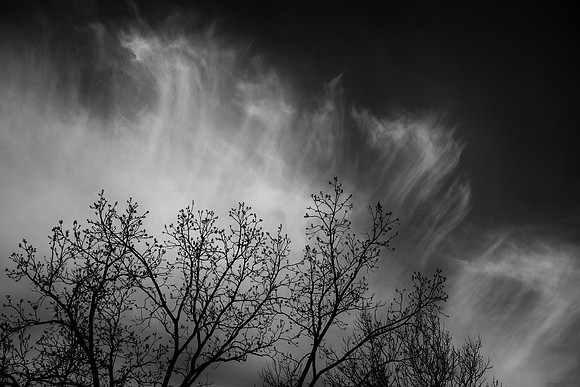Morning Sky II Lisle, IL