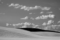 Wheat Fields Near Walla Walla, WA