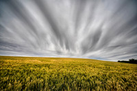 Hillside Near Palouse, WA