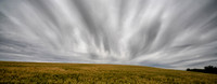 Hillside Near Palouse, WA