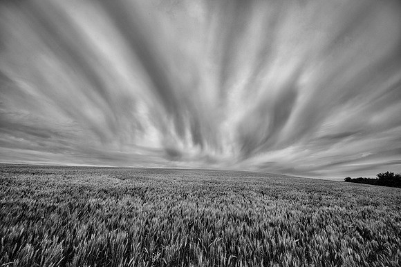 Hillside Near Palouse, WA