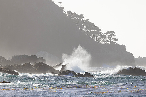 Monastery Beach, CA