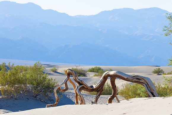 Mesquite Dunes, Death Valley National Park, CA