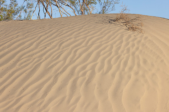 Mesquite Dunes, Death Valley National Park, CA