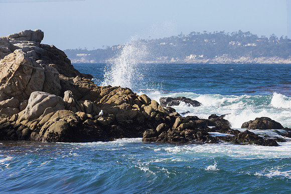 Monastery Beach, CA