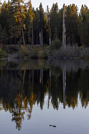Manzanita Lake, Lassen Volcanic National Park, CA