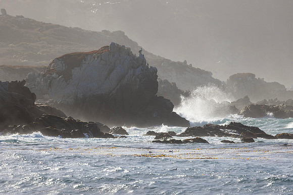 Monastery Beach, CA