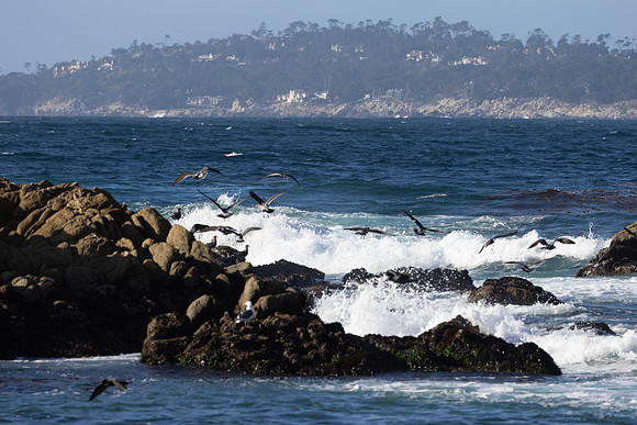 Monastery Beach, CA