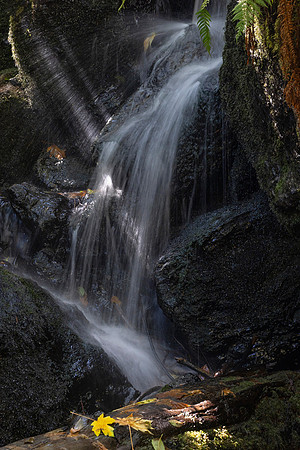 Trillium Falls, Redwood National Park, CA