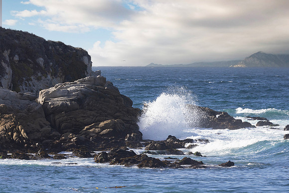 Monastery Beach, CA