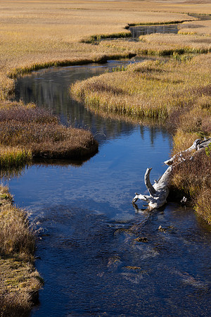 Creek, Lassen Volcanic National Park, CA