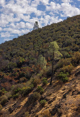 Pinnacles National Park, CA