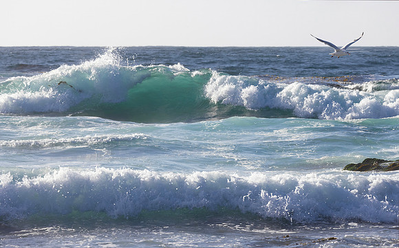 Aqua Waves, Monastery Beach, CA
