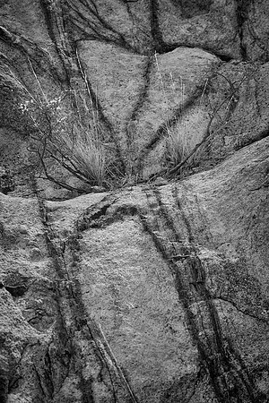 Patterns in Stone, Big Bend National Park, TX