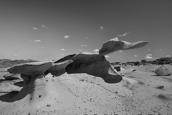 Stone Wing, Bisti/De-Na-Zin Wilderness, NM