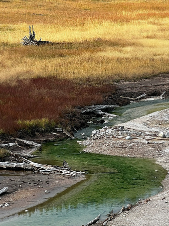Obsidian Creek, Yellowstone National Park, WY