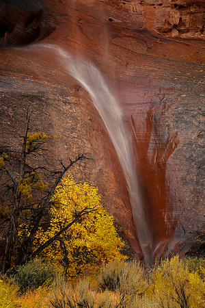 Runoff Waterfall, Capitol Reef National Park, UT