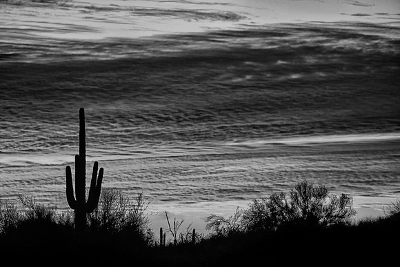 Sunset, Lost Dutchman State Park, Phoenix, AZ