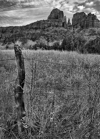 Cathedral Rock, Sedona, AZ