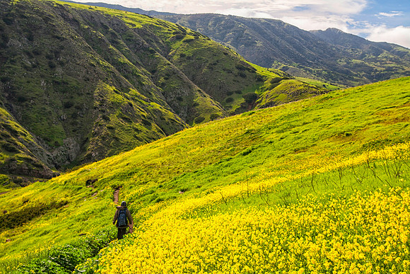 Sheryl Hiking, Channel Islands National Park, CA