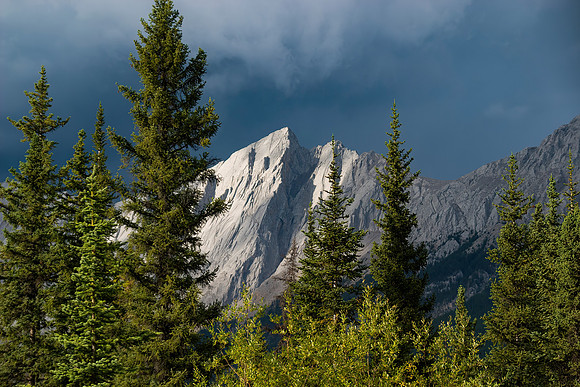 Mt. Sirdar, Jasper National Park, BC
