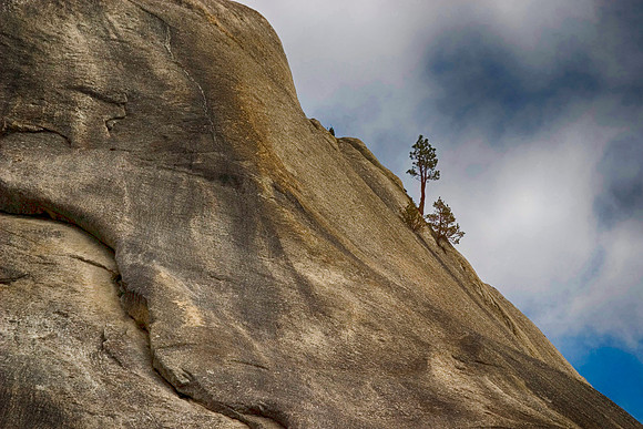The Upward Slope, Yosemite National Park, CA