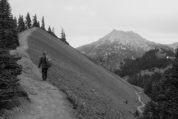 Hiking the Ridge to Sunset Point, Olympic National Park, WA (2017)