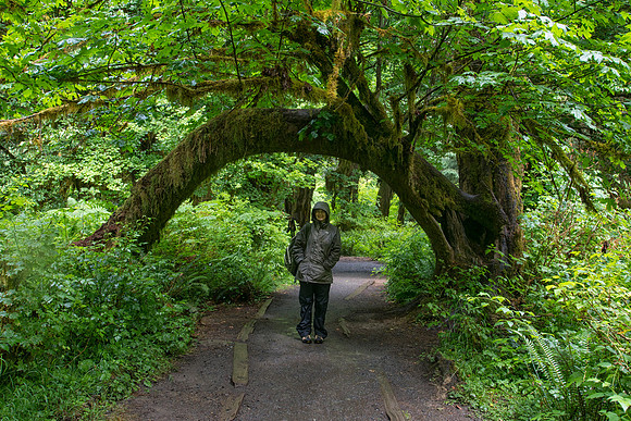 Sheryl at Arched Tree, Hall of Mosses Trail, Olympic National Park, WA (2017)
